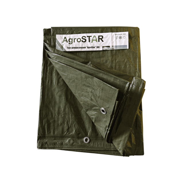 Купить Тент для навеса универсальный AgroStar 100 г/кв.м 3х4 м зеленый